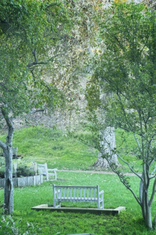 Foto profissional grátis de árvores, assentos, banco de parque