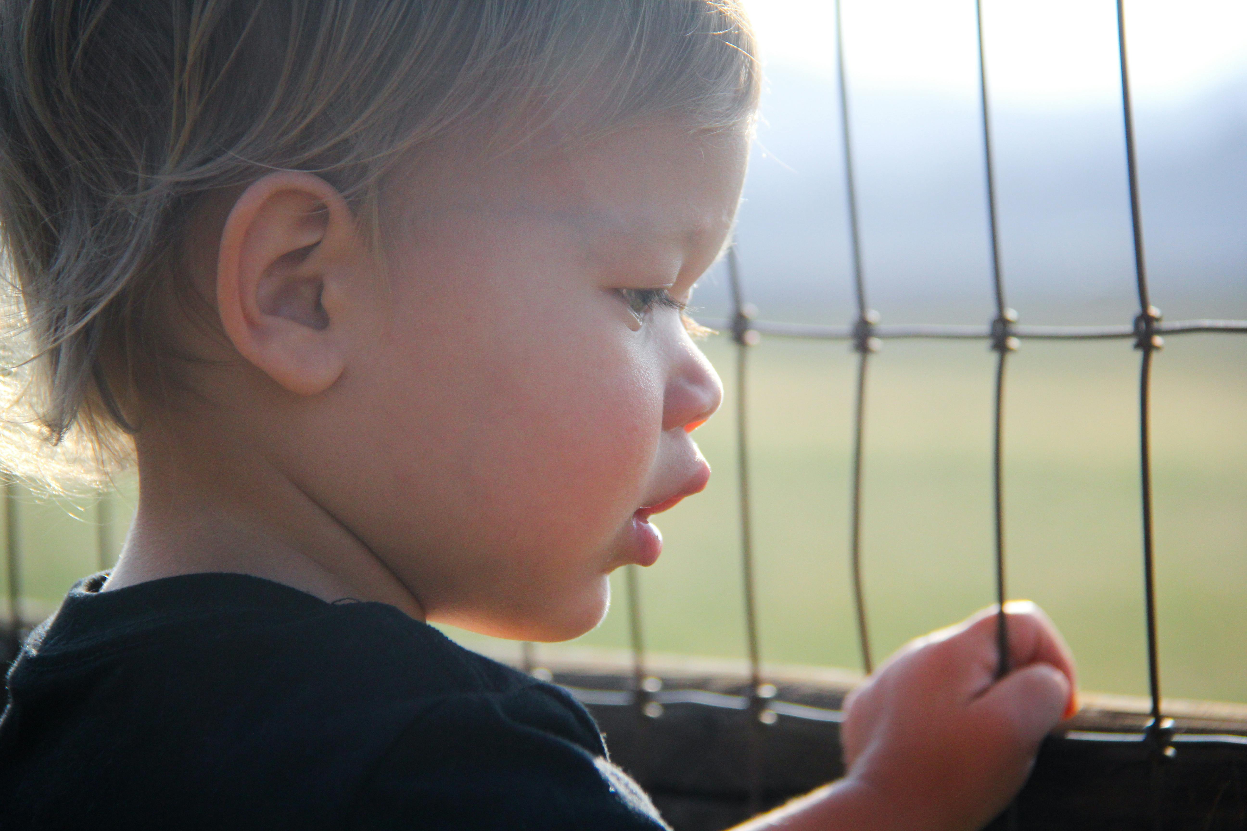 白天，一个可爱的小孩透过铁丝网凝视着