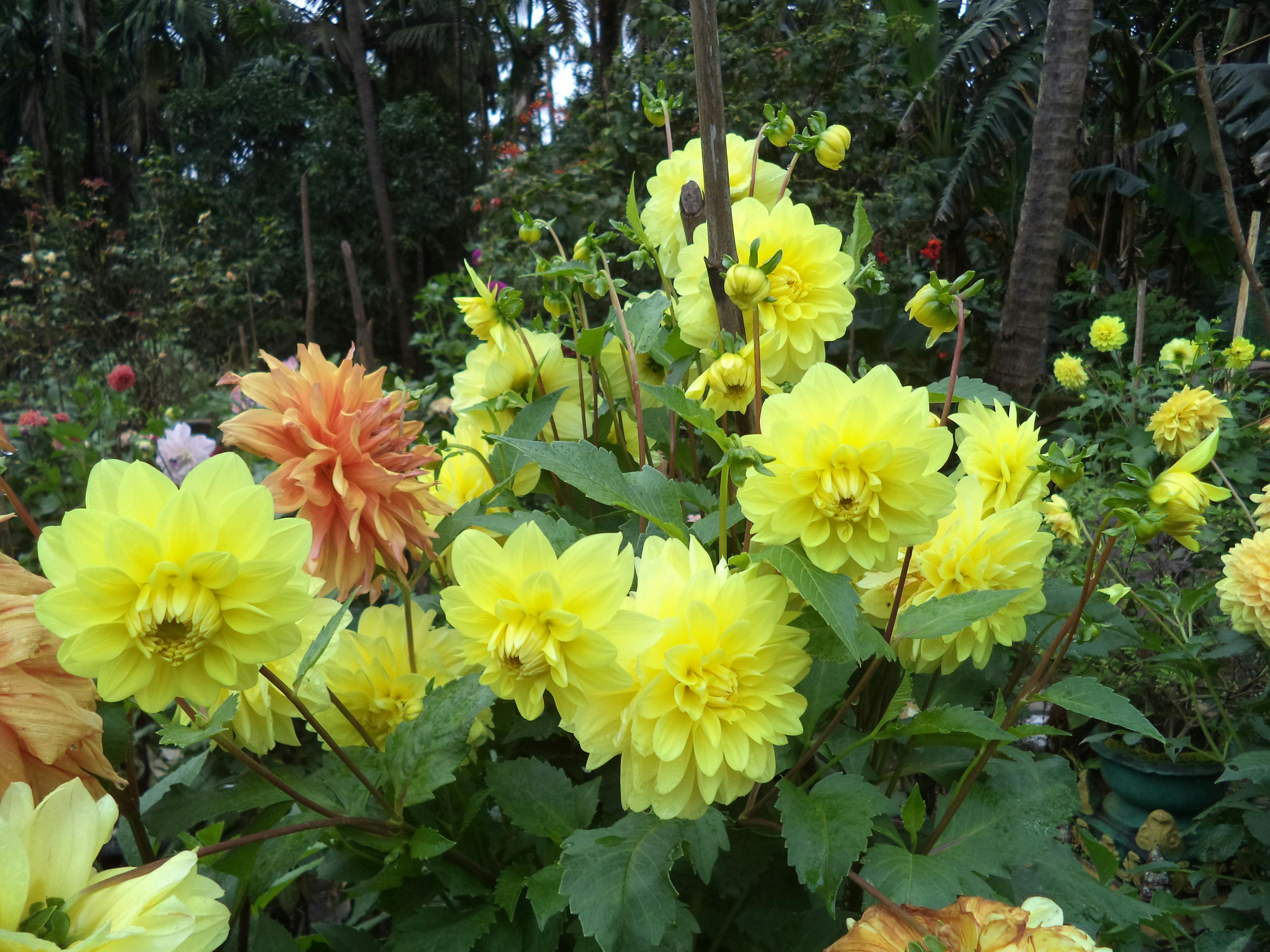 Difference Between 4l80e And 4l85e Difference