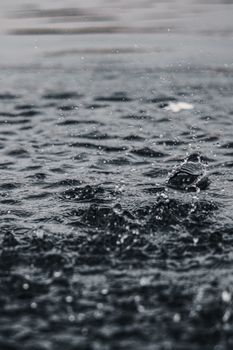 Close-up of raindrops splashing and creating ripples on a water surface during a rain shower.