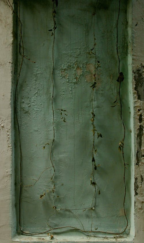 Cracks on Green Paint on Wall