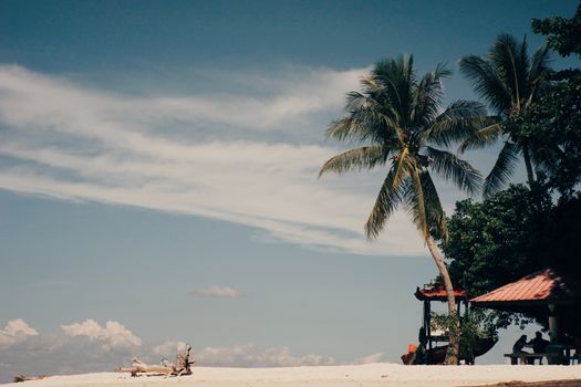 Serene tropical beach scene featuring palm trees, blue sky, and sandy shore under daylight.