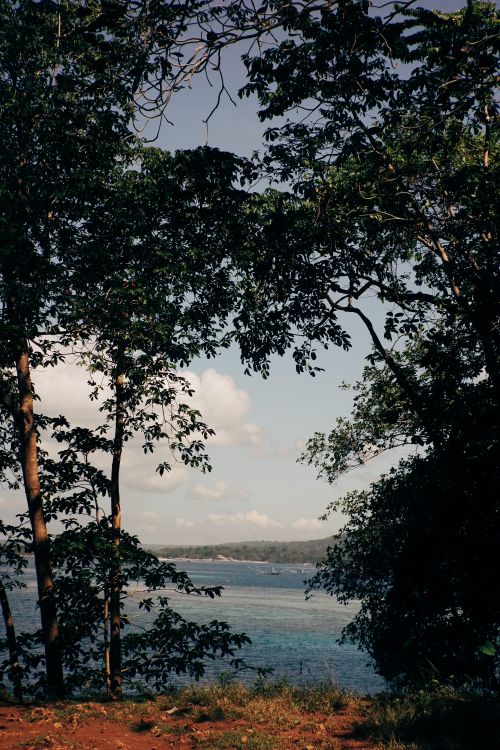 Free A beautiful lake view framed by lush green trees under a clear blue sky, capturing the essence of nature. Stock Photo