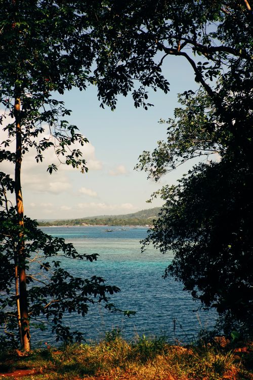 Free Tranquil lakeside with clear sky and lush trees framing the calm blue waters. Stock Photo