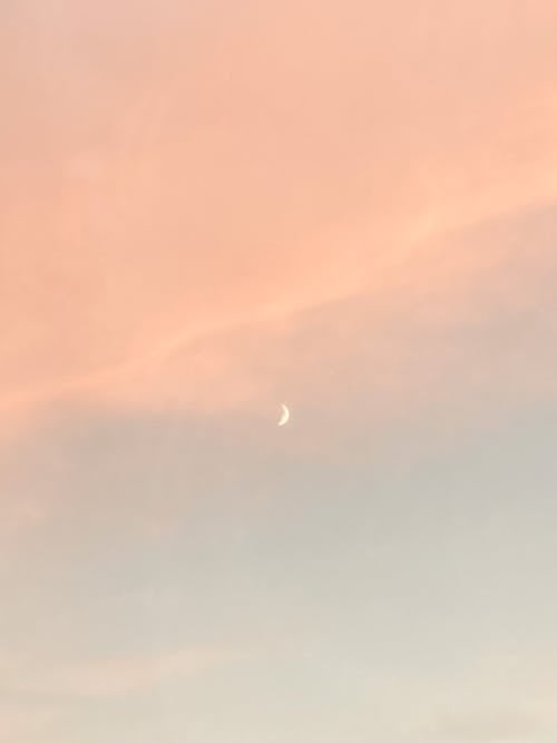 คลังภาพถ่ายฟรี ของ จันทรา, ตะวันลับฟ้า, พระจันทร์ครึ่งซีก