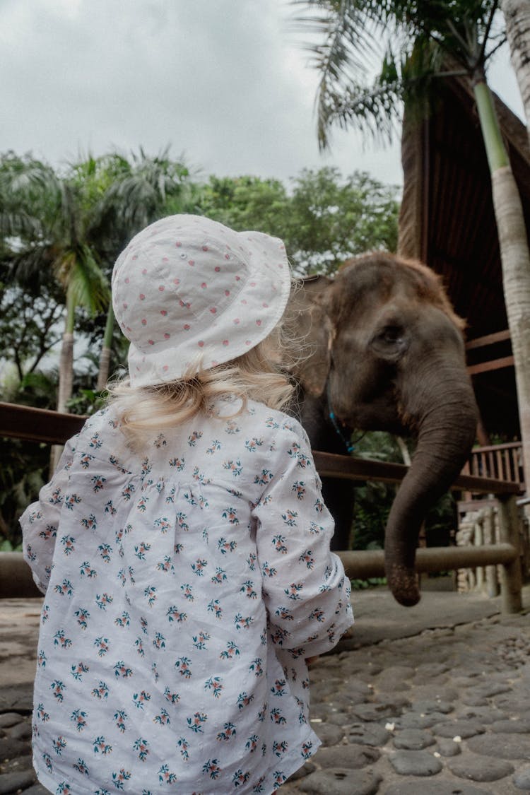 Photo Of A Girl Standing Near An Elephant