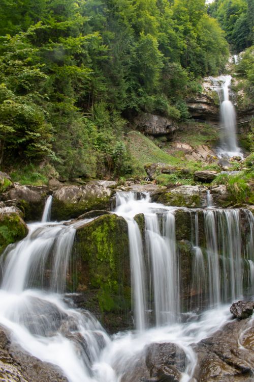 A Waterfalls in the Middle of Green Trees in the Forest · Free Stock Photo