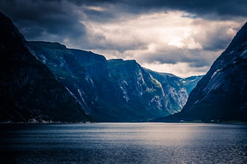 Základová fotografie zdarma na téma denní světlo, fjord, hory