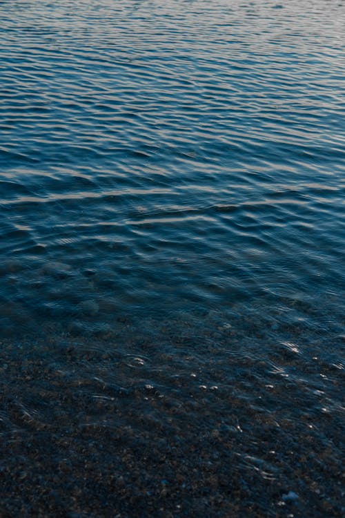 Shallow Water in the Beach