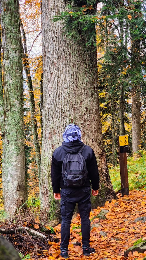 A Person in Black Jacket Standing in the Forest