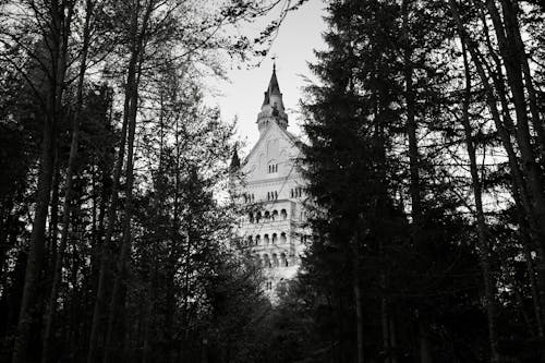 View of the Neuschwanstein Castle from the Forest