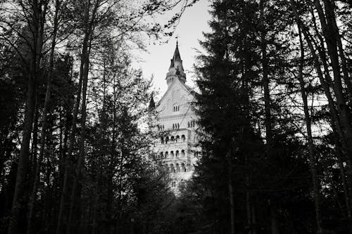 Δωρεάν στοκ φωτογραφιών με schwangau, ασπρόμαυρο, Γερμανία