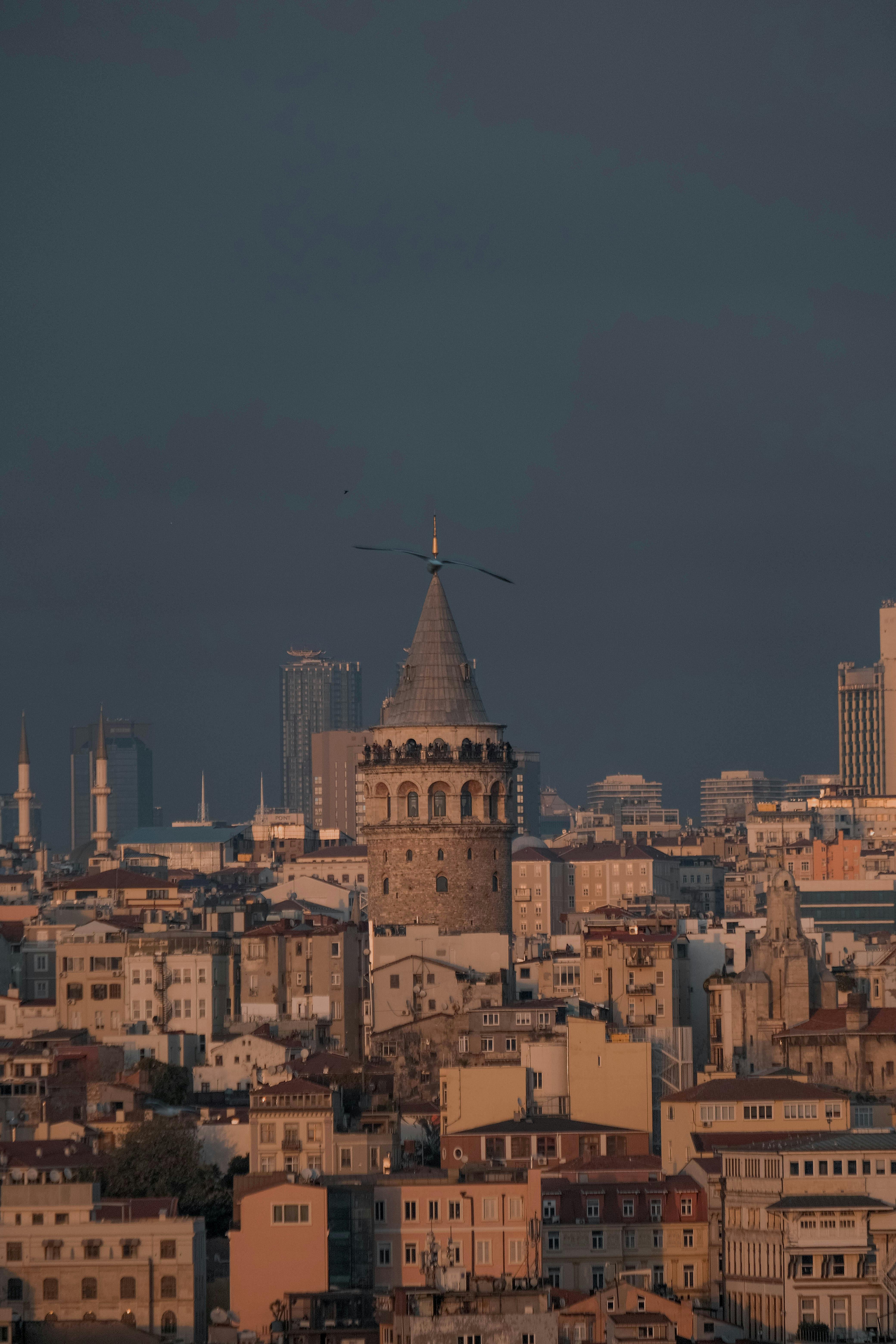 Gratuit Photos gratuites de architecture, architecture dense, architecture moyen-orientale Photos