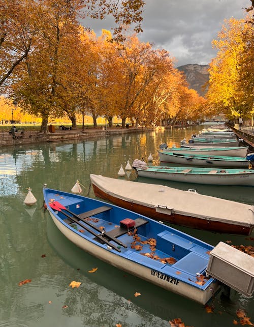 Photos gratuites de arbres d'automne, bateaux, canal