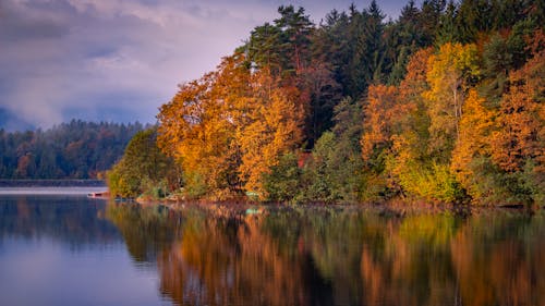 Beautiful Autumn Trees Near Body of Water