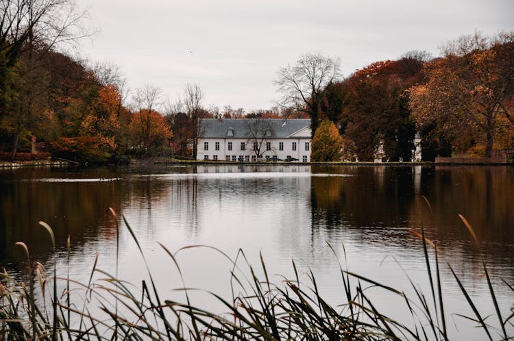 White And Gray Building Near The Pond