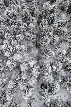 Breathtaking aerial shot of a frosty winter forest in Ilmenau, Germany showcasing snow-laden trees.