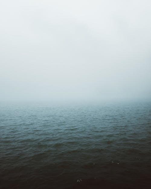 Základová fotografie zdarma na téma mávání, mlha, moře