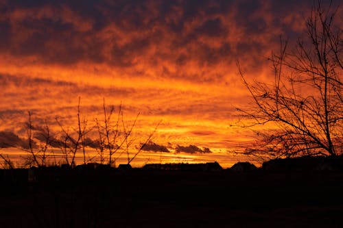 Immagine gratuita di alberi, cielo rosso, natura