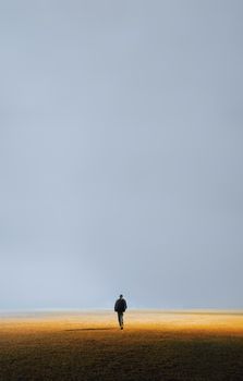 A lone figure walks on a vast, open field under a gray sky, evoking solitude and introspection.