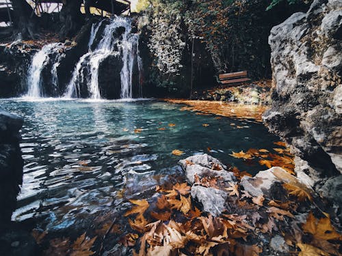 Kostenloses Stock Foto zu fluss, kaskade, natur