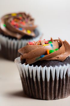 Close-up of chocolate cupcakes with rich frosting and vibrant sprinkles, perfect for dessert enthusiasts.