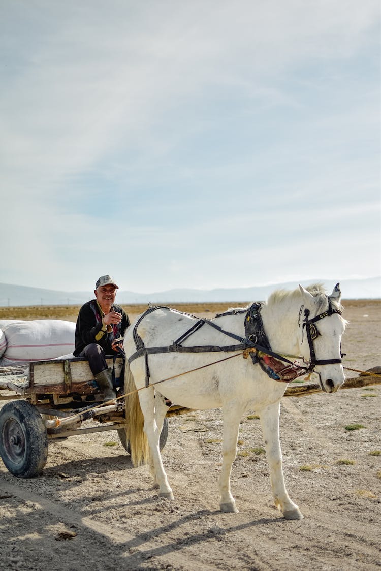 A Man Riding On A Carriage Being Pulled By A White Horse