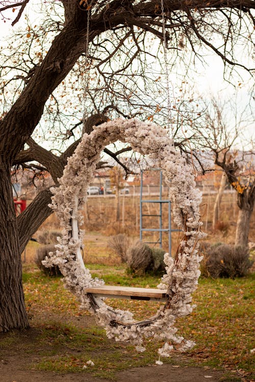 Foto profissional grátis de árvore, balanço, circular