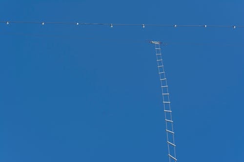 Ladder Attached to an Electricity Line 
