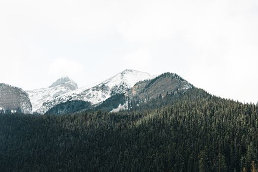 A stunning winter landscape in Banff National Park, featuring snow-covered peaks and dense green forests.