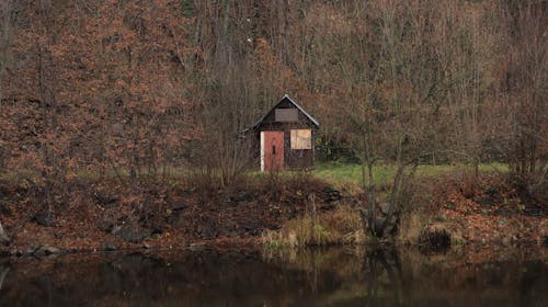 View of a Wooden Hut in a Forest in Autumn by a Body of Water 