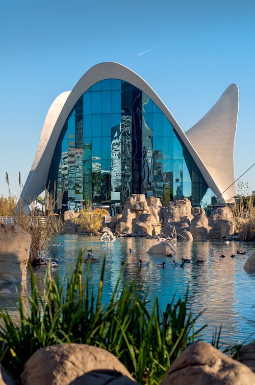 Oceanogràfic de Valencia