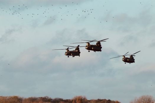 Helicopters in the Sky