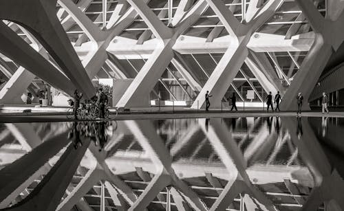 People Walking Beside the Pond