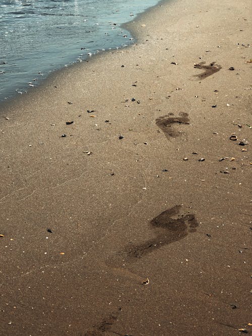 Základová fotografie zdarma na téma písek, pláž, stopy