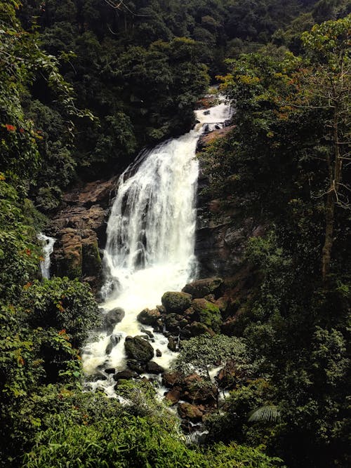 Waterfall in the Middle of Mountain