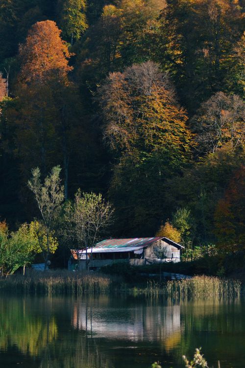 Free Captivating autumn view of a rustic house near a peaceful lake in Bolu, Turkey, surrounded by vibrant fall foliage. Stock Photo