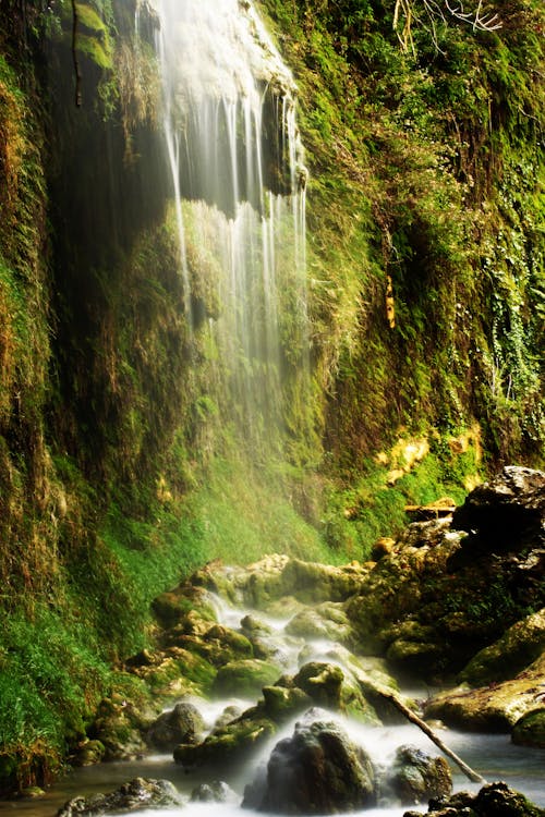 бесплатная Горы: водопады Стоковое фото