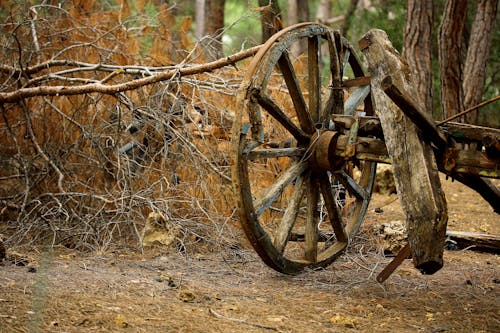 Brown Carriage Wheel
