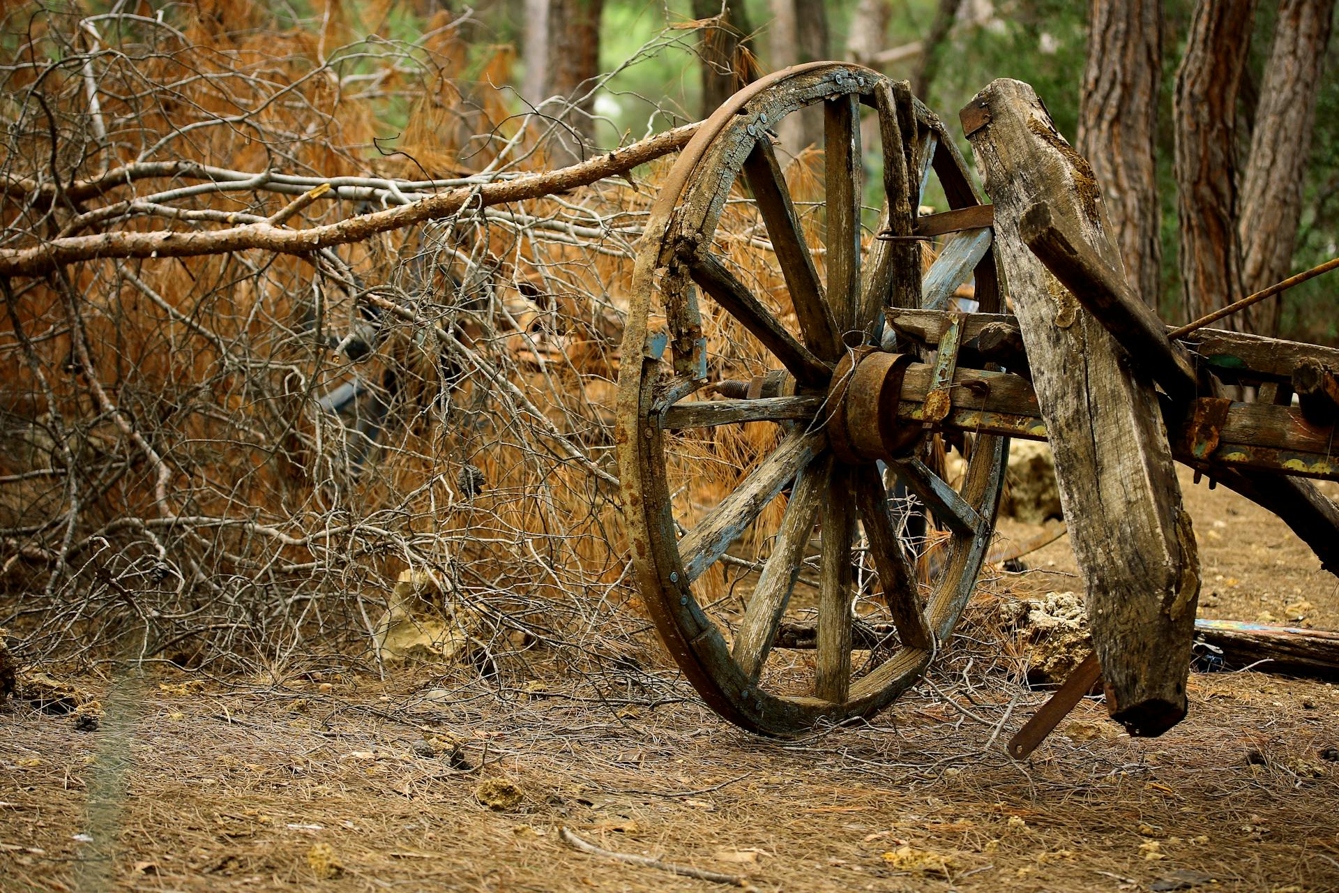 Brown Carriage Wheel