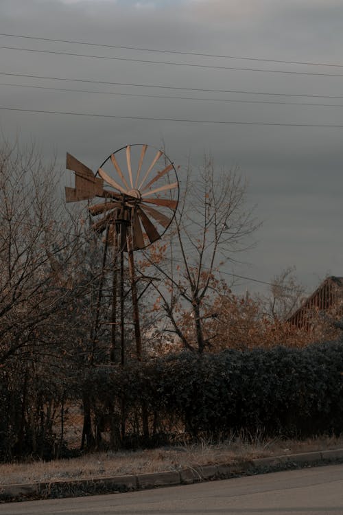 Photos gratuites de arbuste, campagne, couvert