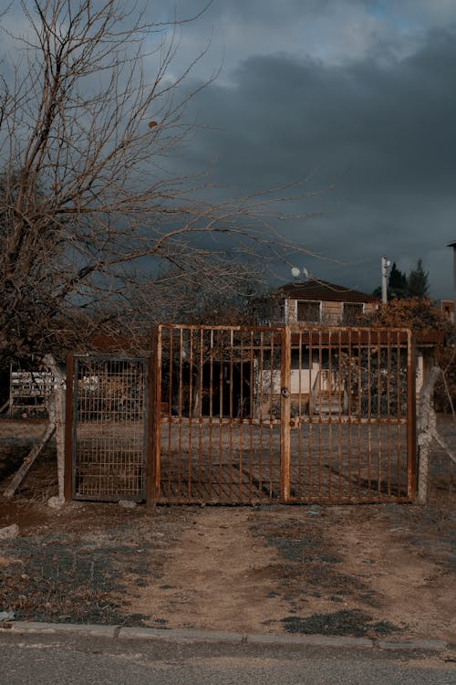 Photos gratuites de abandonné, arbre sans feuilles, chaussée