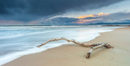 Toter Baumstamm Am Strand