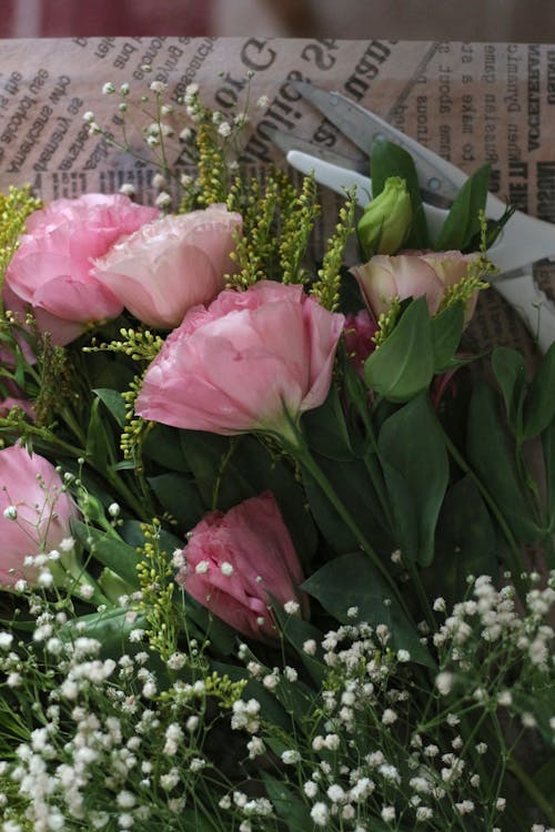 Foto profissional grátis de beleza, buquê, cor-de-rosa