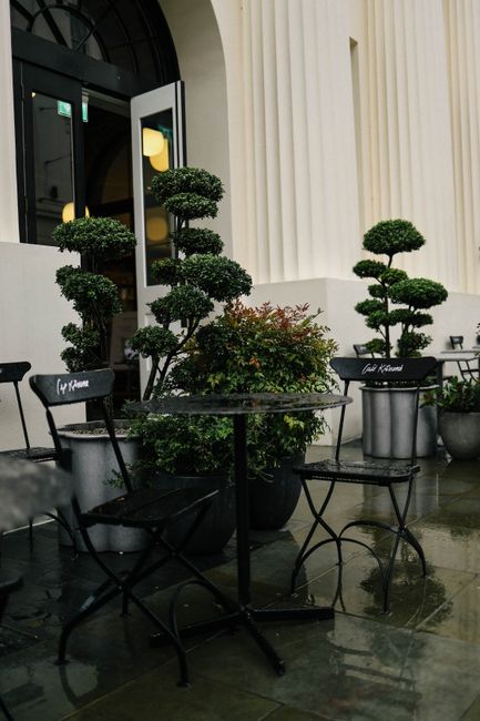 Elegant outdoor cafe seating with styled topiary plants on a rainy day.