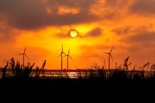 Ilmainen kuvapankkikuva tunnisteilla auringonlasku, aurinko, kestävä kehitys