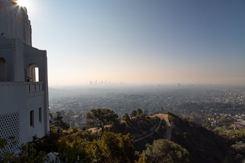 Ingyenes stockfotó köd, Los Angeles, reggel témában