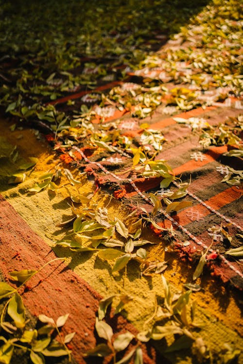 Fallen Leaves on a Rug