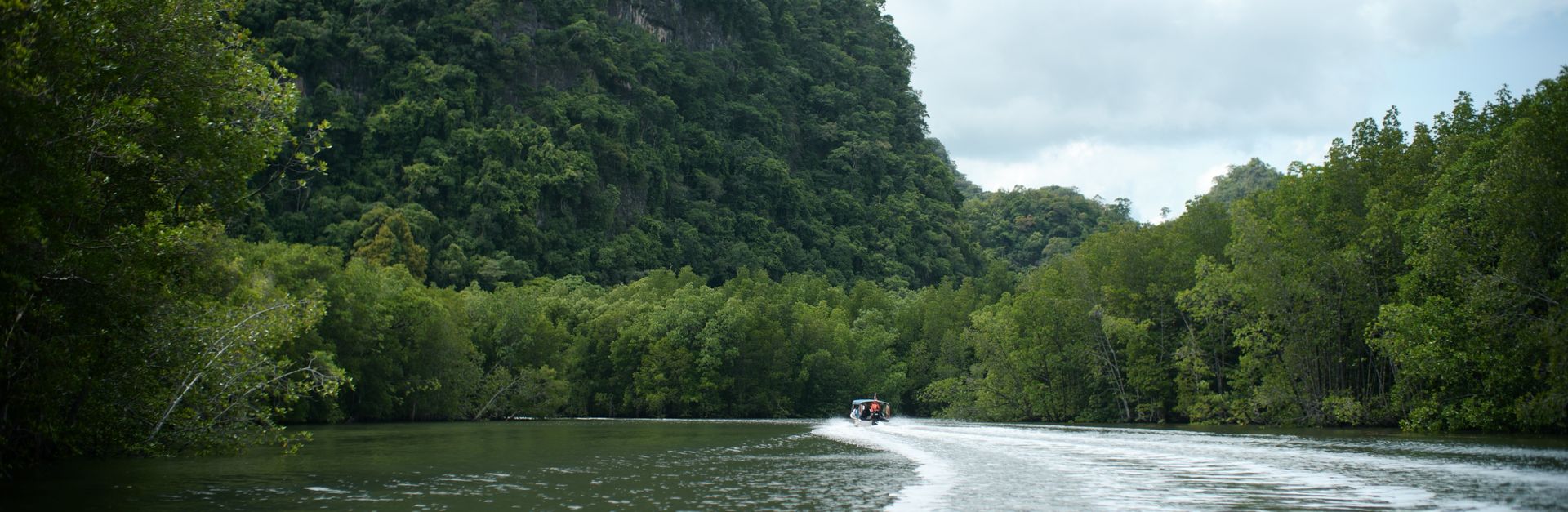 Experience a tranquil river cruise through Langkawi's lush forests with stunning natural scenery.
