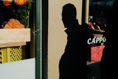 Floating Soap Bubbles by Shadow of a Man